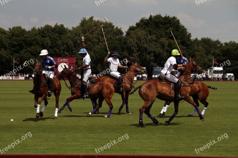 Polo Players Match Sport Competition