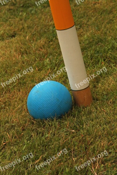 Croquet Wooden Balls Hoop Equipment Mallet