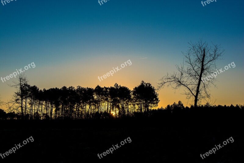 Arcachon Basin Sunset Lanton Free Photos