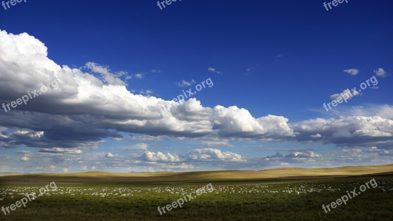 Blue Sky White Cloud The Flock Free Photos