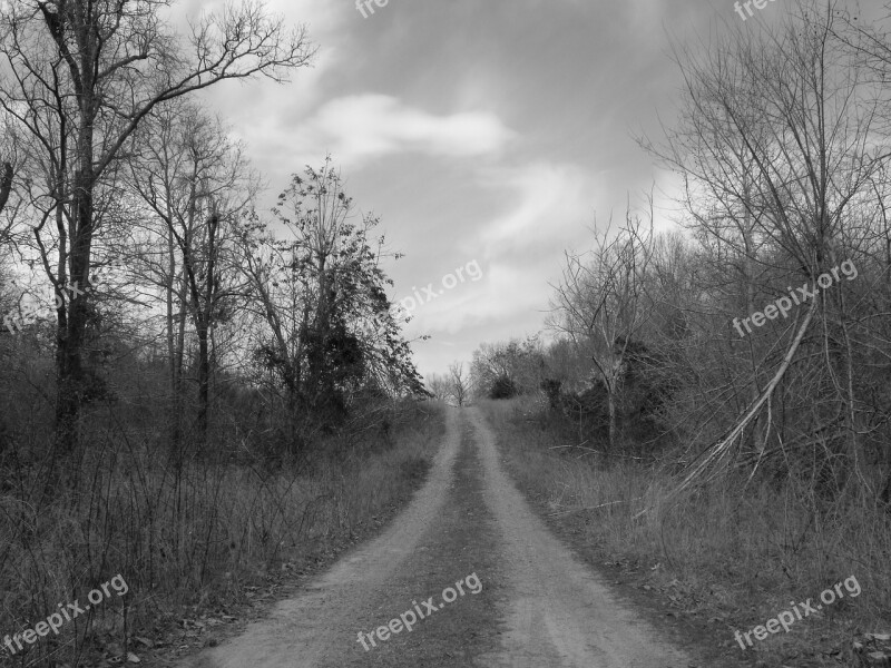 Road Country Black And White Country Road Landscape