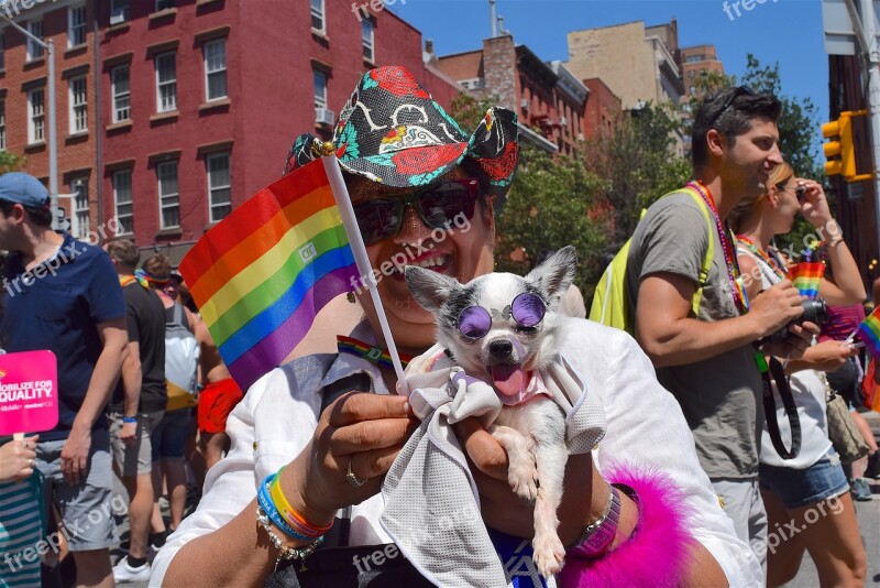 Gay Pride Pride Fest Dog Nyc New York City