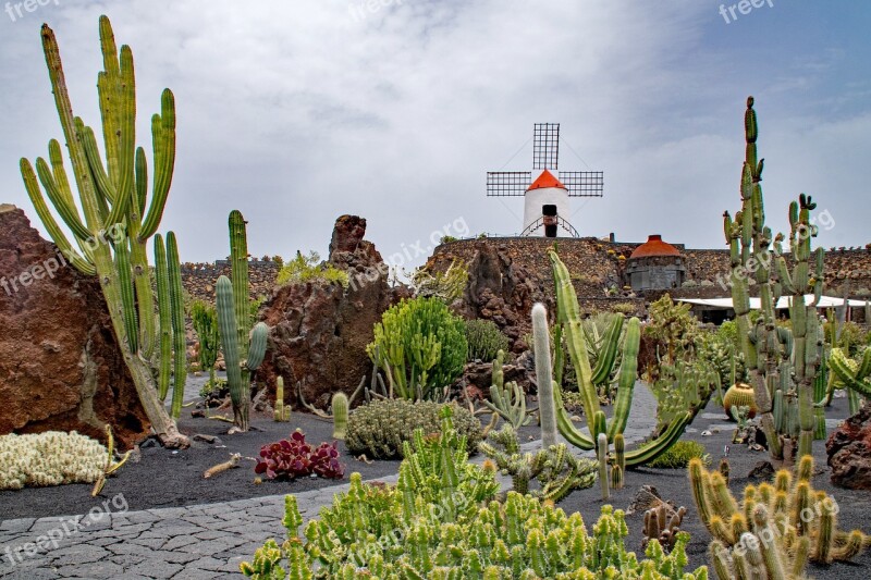 Jardin De Cactus Cactus Lanzarote Spain Africa Attractions