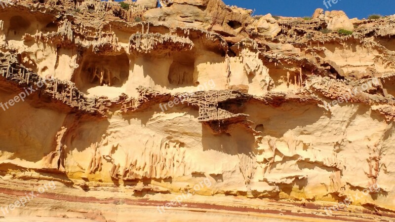 Kalbarri National Park Australia Worm