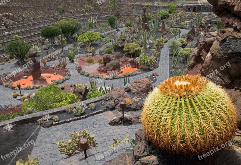 Jardin De Cactus Cactus Lanzarote Spain Africa Attractions