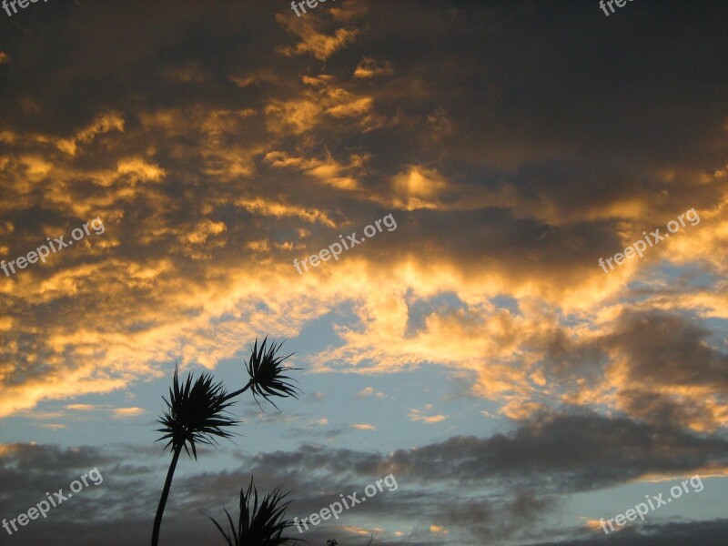 Sunset Salvador Bahia Free Photos