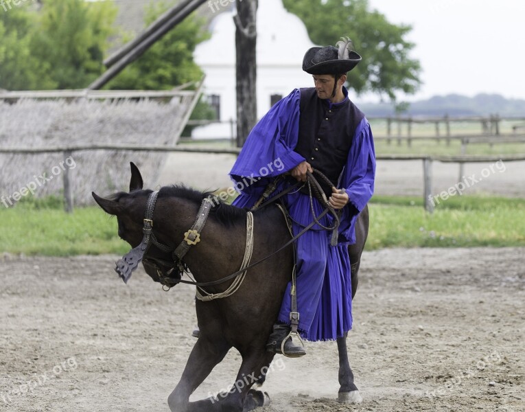 Puszta Horse Farm Hungary Equestrian Demonstration Traditional Horseman Rolling Horse