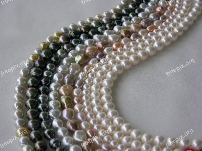 Beads Freshwater Pearls Bead Strands Jewellery Free Photos