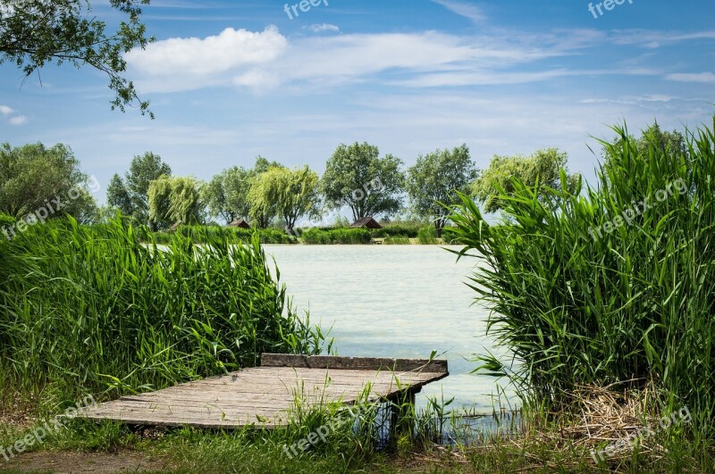 Reed Lake Landscape Water Sky