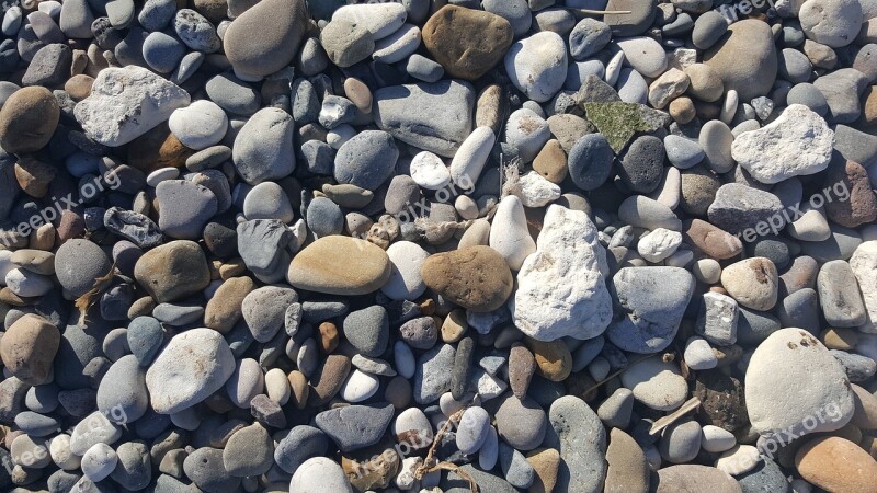 Pebble Beach Mappleton Yorkshire Coast Free Photos