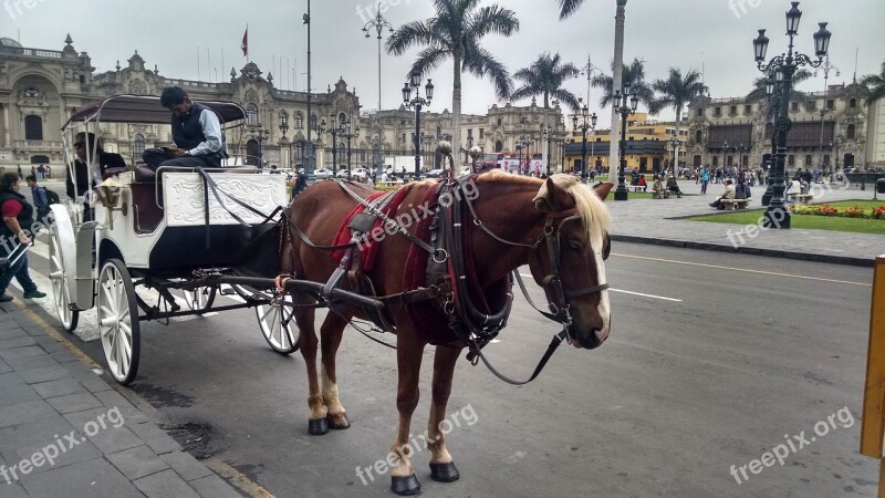 Lime Main Square Carriage Free Photos