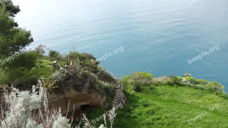 Overview Creek Land Sea Free Photos