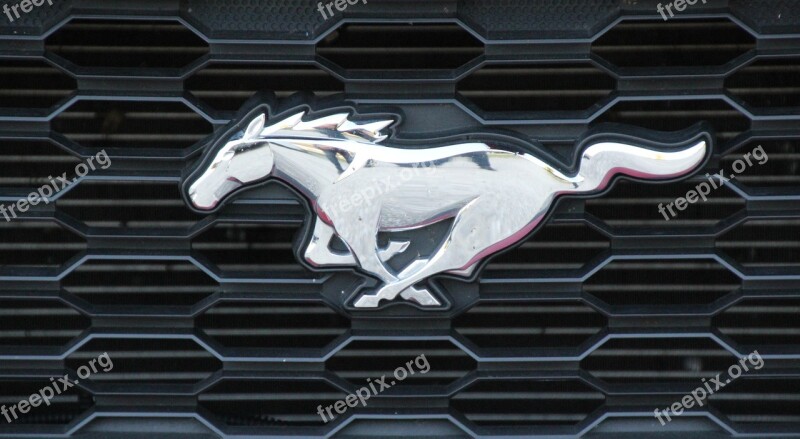 Mustang Ford Logo Mustang Gt Free Photos