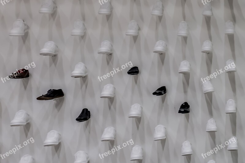 Collection Shoes Wall Original Showcase