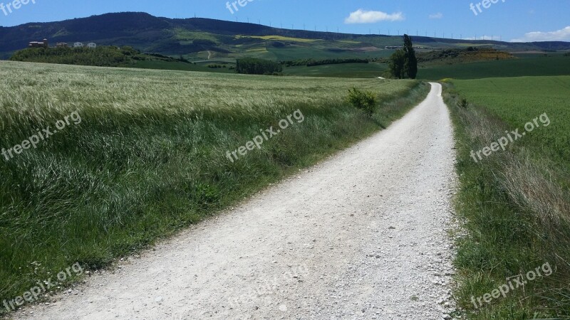 The Pilgrim's Trail Spain Wheat Fields Peace Nature