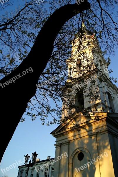 The Bell Tower Tree View Architecture Sky