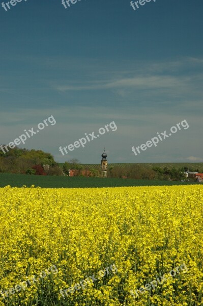 Spring Oilseed Rape Yellow Landscape Field