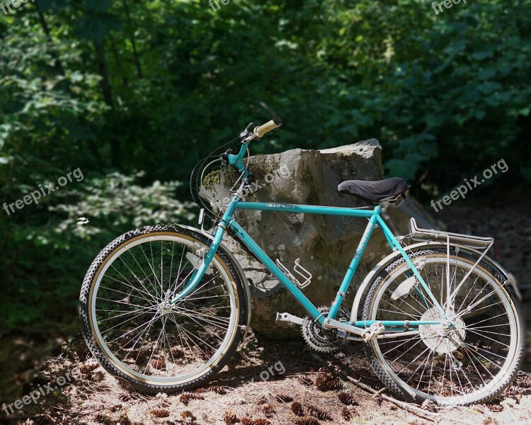 Bicycle Old Schwinn Retro Classic