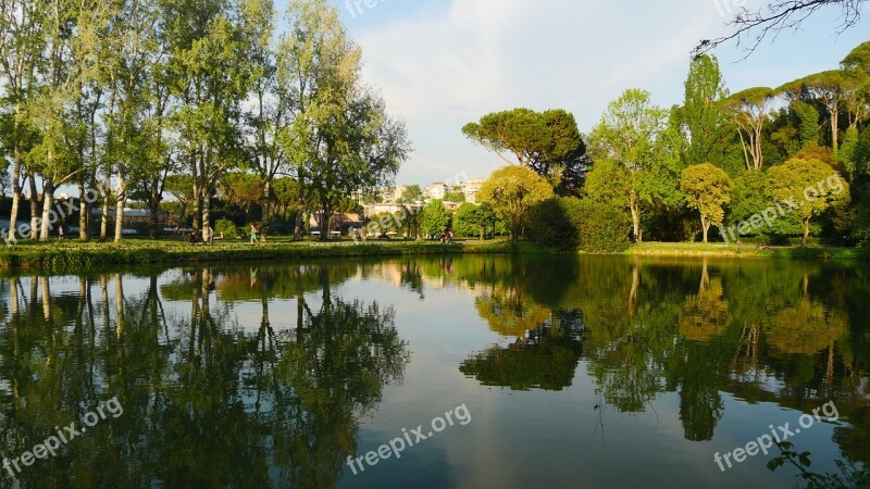 Fresh Tree Reflection River Banks Free Photos