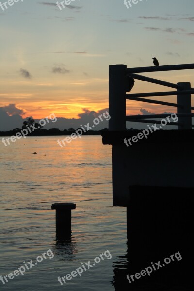 River Papaloapan Tlacotalpan Sunset Bird