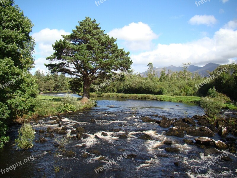 Bach River Fish Fishing Waters Salmon