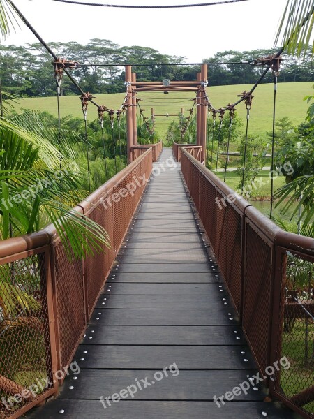 Bridge Outdoors Nature Park Relax