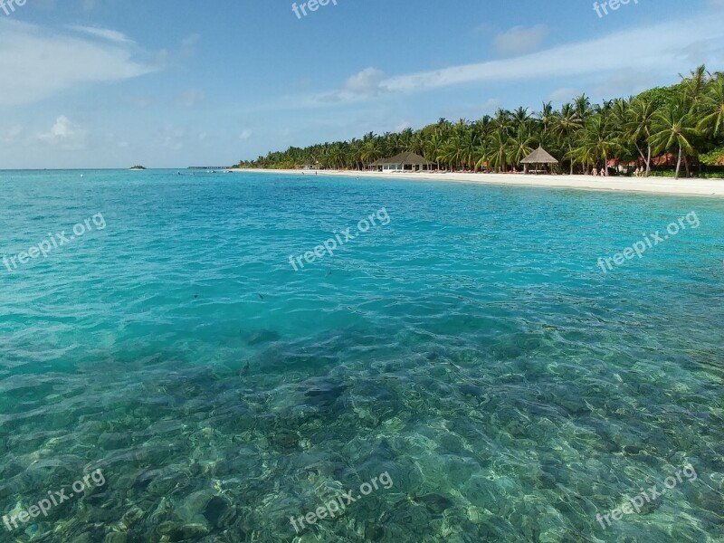 Ocean Sea Water Nature Summer