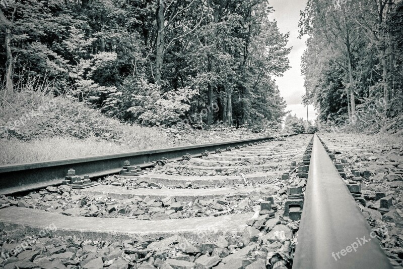 Rails Train Railway Transport Track