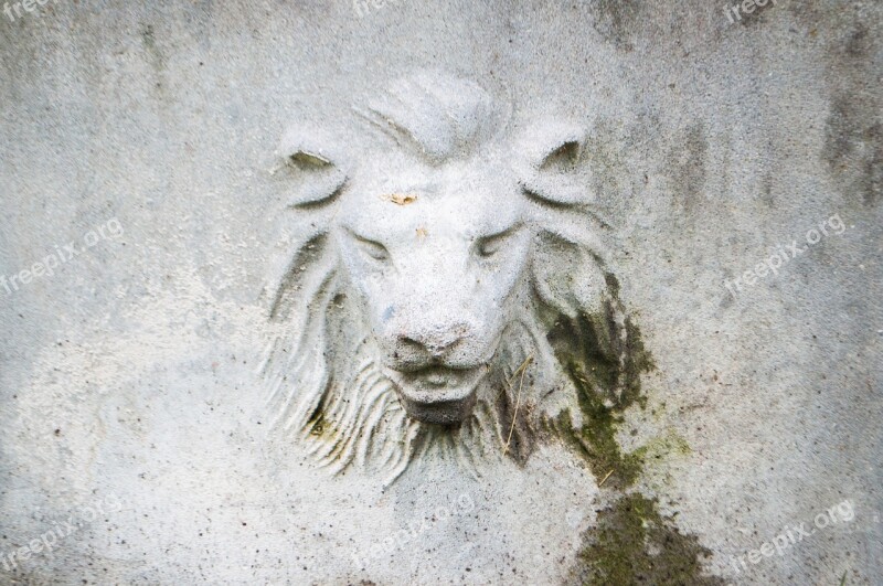 Lion Building Wall City Old