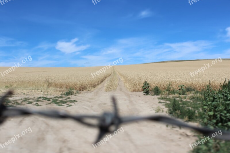 Farm Agriculture Farming Rural Field