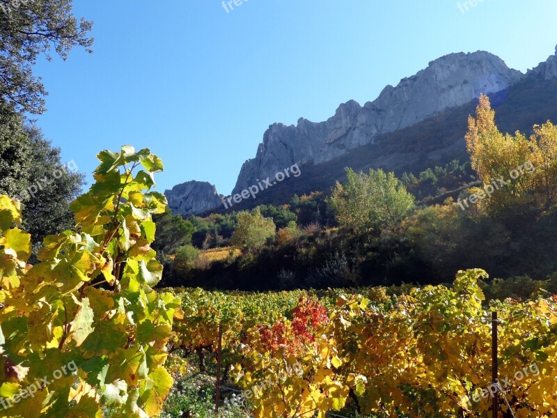 Nature Vine Vineyards The Dentelles De Montmirail Landscape