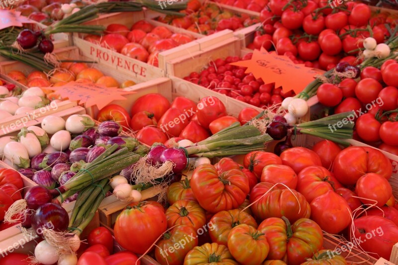 Vegetables Tomatoes Market Provence Vaucluse