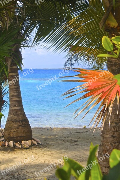 Belize Nature Scenic Vacation Free Photos