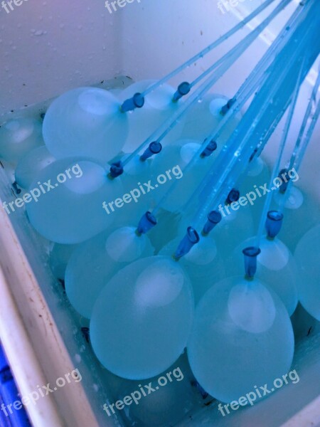 Water Balloons Blue Balloon Balloon Free Photos