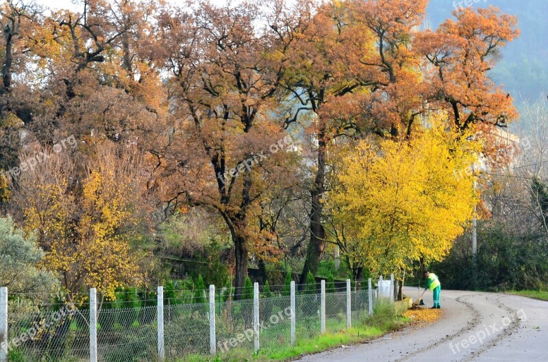 Autumn Scholarship Doburca Village Landscape Nature