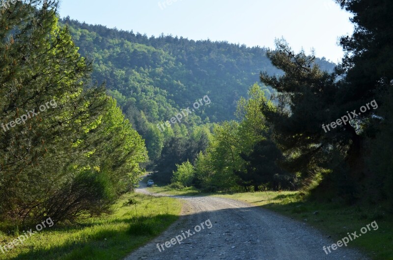 Spring Scholarship Doburca Village Landscape Nature