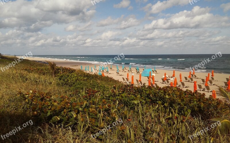 Beach Atlantic Florida Palm Beach Beach Umbrellas