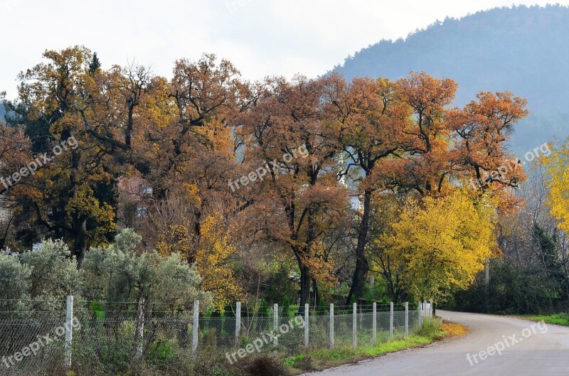 Autumn Scholarship Doburca Village Landscape Nature