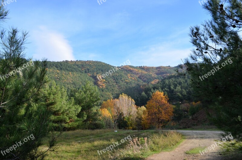 Autumn Scholarship Doburca Village Landscape Nature