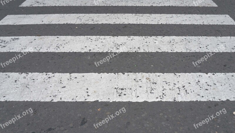 Black And White Zebra Cross Stripes Road Street