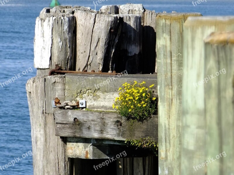 Wharf Sea Pier Dock Landscape