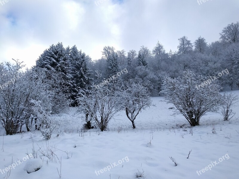 Winter Landscape Nature Trees Snow