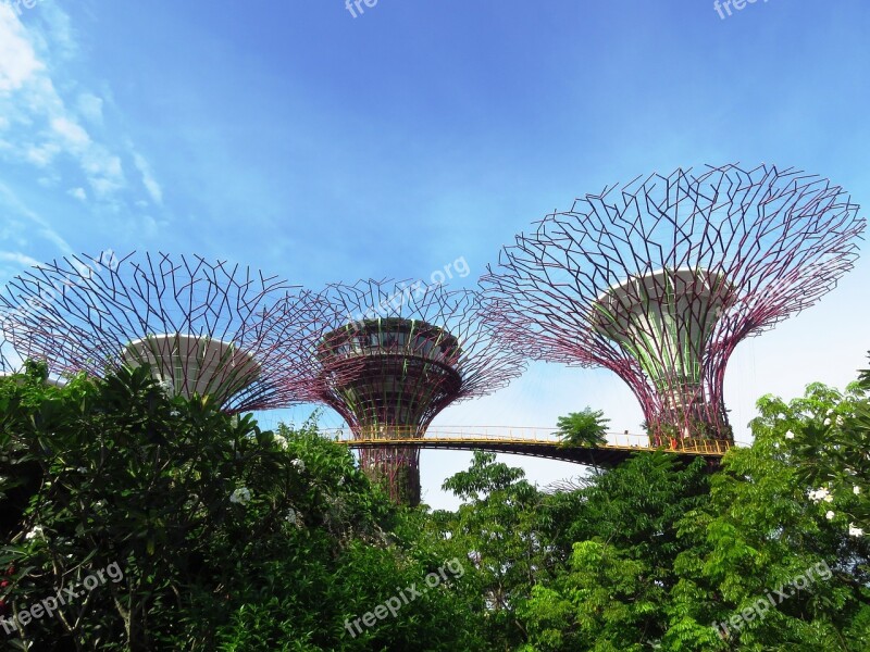 Singapore Garden By The Bay Marina Tourism Garden