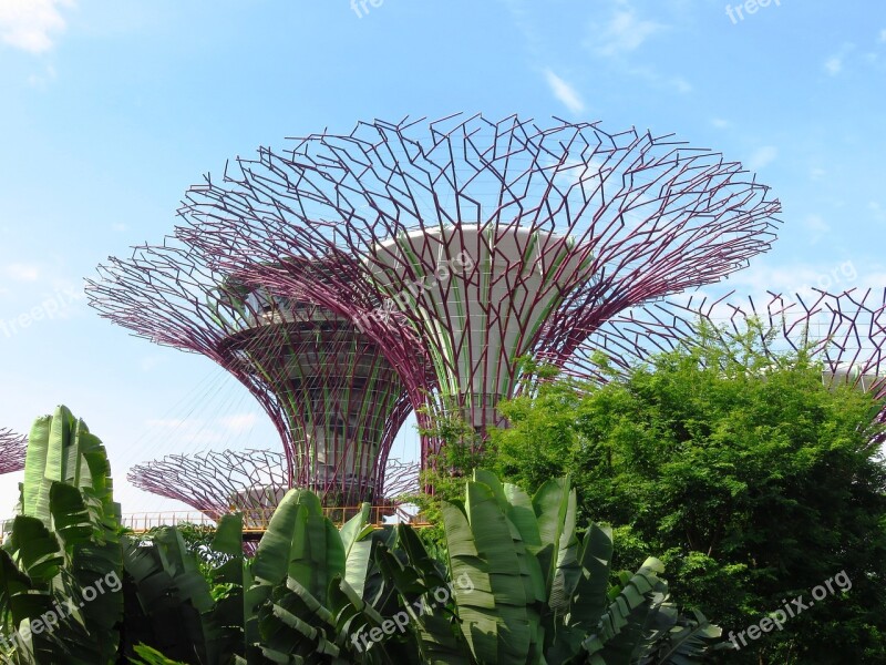 Singapore Garden By The Bay Marina Tourism Garden