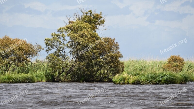 Marsh Brière Loire Atlantique Water Landscape