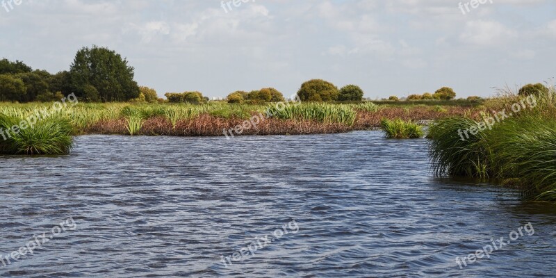 Marsh Brière Loire Atlantique Water Landscape