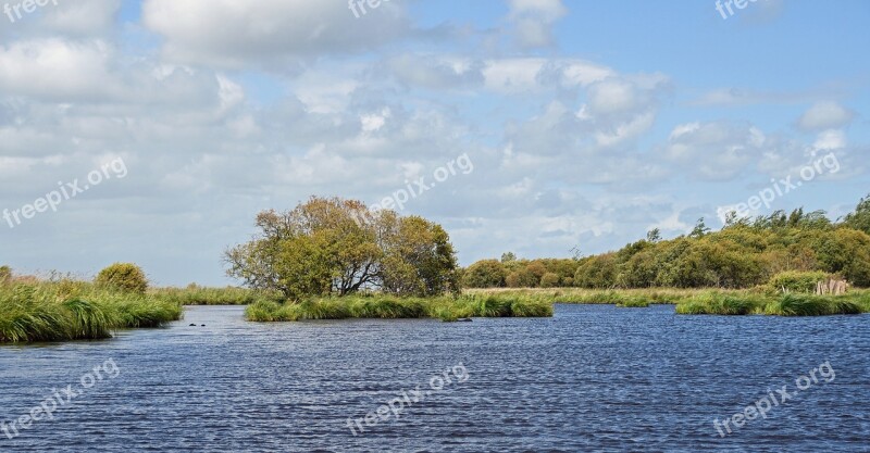 Marsh Brière Loire Atlantique Water Landscape