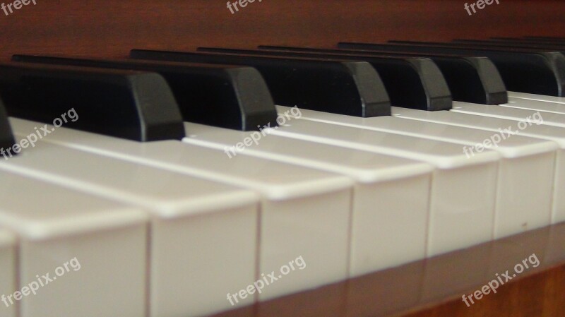 Keys Piano Piano Keyboard Musical Instrument Piano Keys