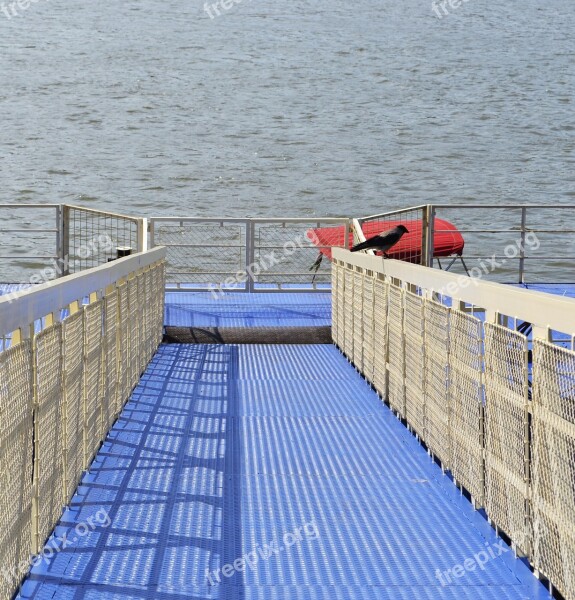 Port Bird Water Ramp Blue And White