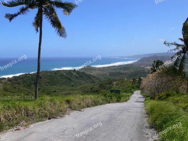 Road Beach Tropical Vacation Travel